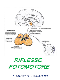 testo alternativo